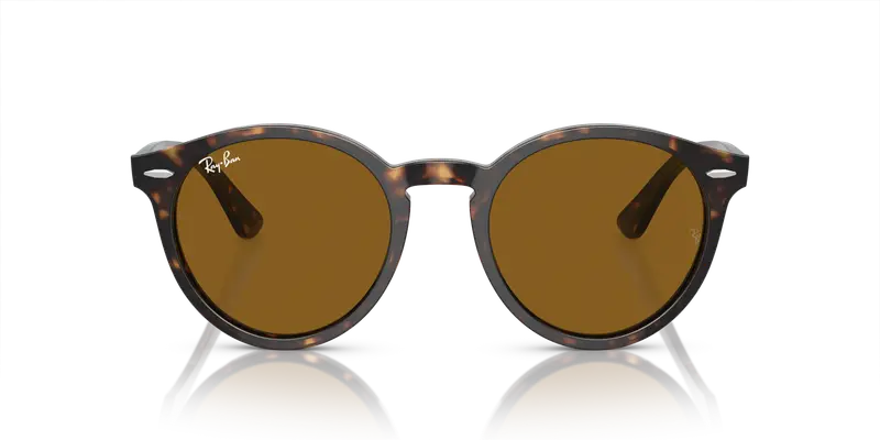 Ray - Ban Unisex RB7680S LARRY 902/33 Occhiali da sole Acetato Tartaruga Marrone Pantos Normale miniatura 2