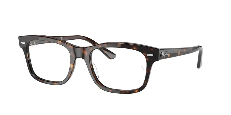 Unisex RX5383 MR BURBANK 2012 Montature da vista Acetato Tartaruga Trasparente Squadrata Normale