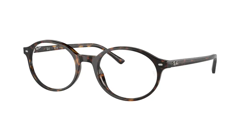 Unisex RX5429 GERMAN 2012 Montature da vista Acetato Tartaruga Trasparente Rotonda Normale