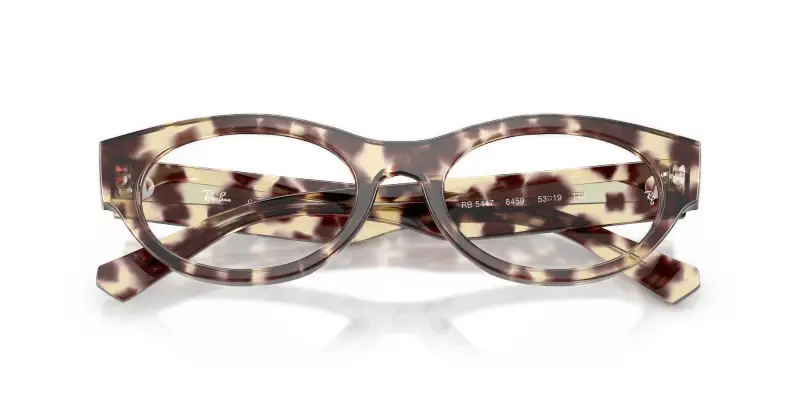 Unisex RX5447 8459 Montature da vista Acetato Marrone Trasparente Rotonda Normale miniatura 2