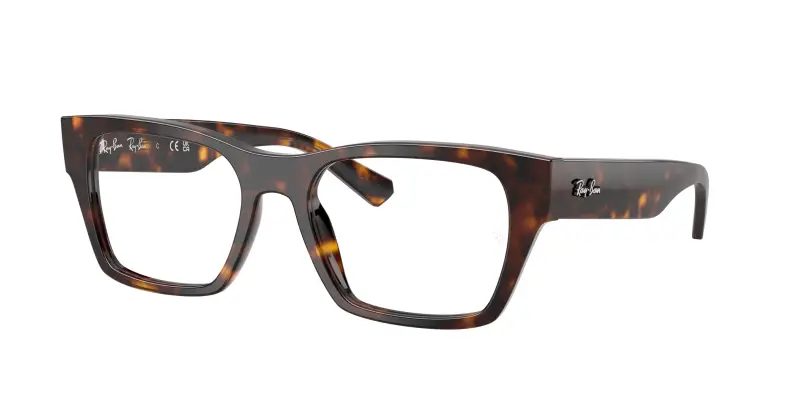 Unisex RX5448 2012 Montature da vista Acetato Tartaruga Trasparente Geometrica Normale