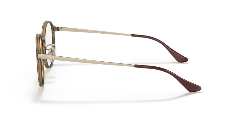 Ray - Ban Unisex RX7178D 2012 Montature da vista Iniettato Tartaruga Trasparente Pantos Normale miniatura 3