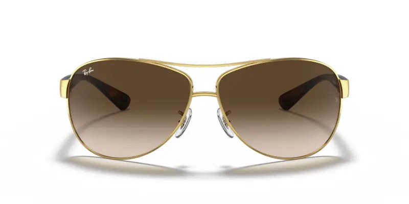 Ray - Ban Occhiali da sole Uomo Marrone 3185174 miniatura 3