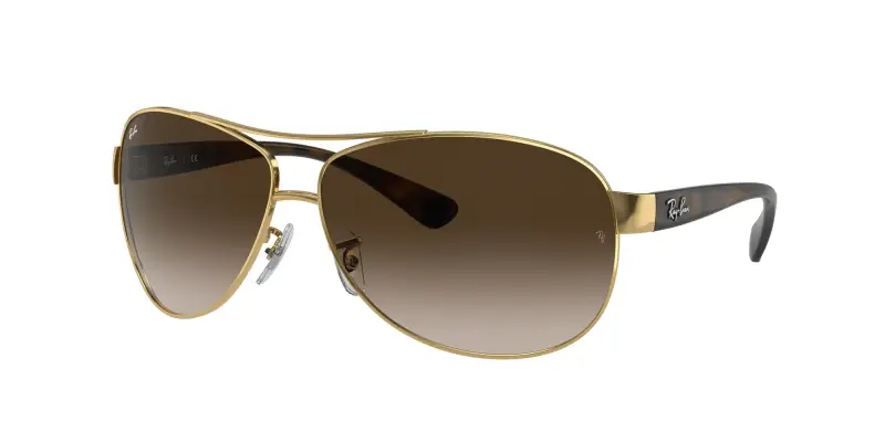 Ray - Ban Occhiali da sole Uomo Oro 3185174