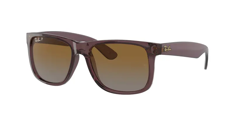 Ray - Ban Occhiali da sole Uomo Marrone 1352591