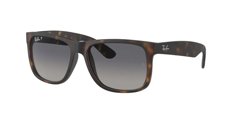 Ray - Ban Occhiali da sole Uomo Testa di moro 836522