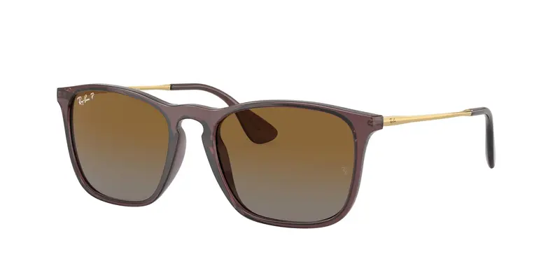 Ray - Ban Occhiali da sole Uomo Marrone 857683