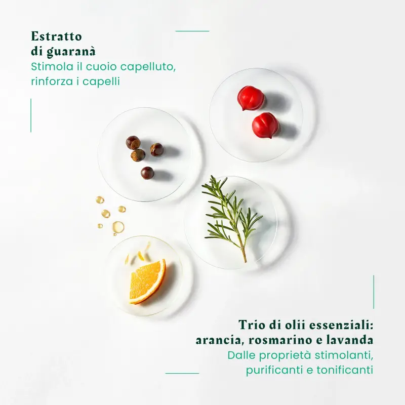 Forticea Shampooing Fortifiant Revitalisant - Shampoo lavaggi frequenti, Capelli fini, Capelli normali miniatura 3