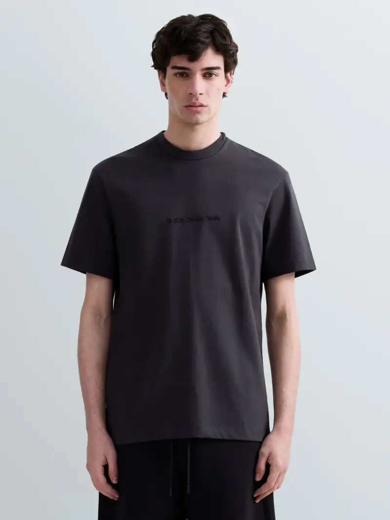 Replay T-shirt Grigio 4199695