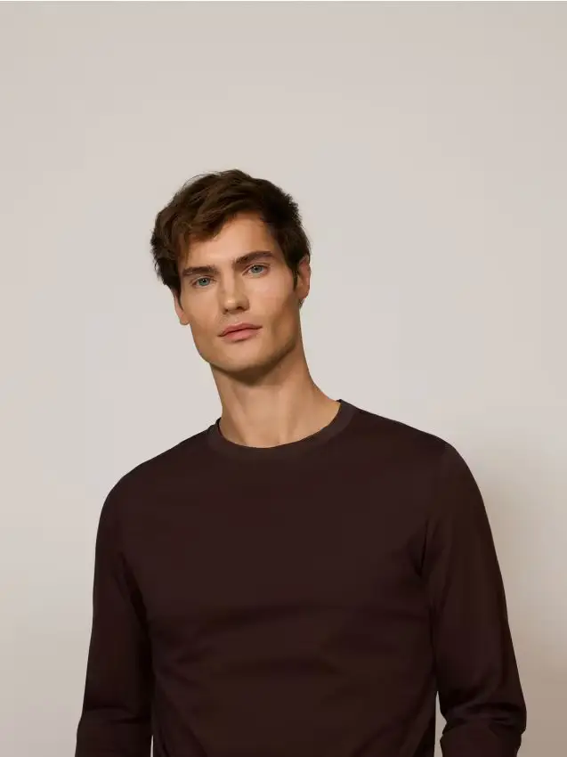 Maglietta a maniche lunghe regular fit con cuciture - marrone scuro