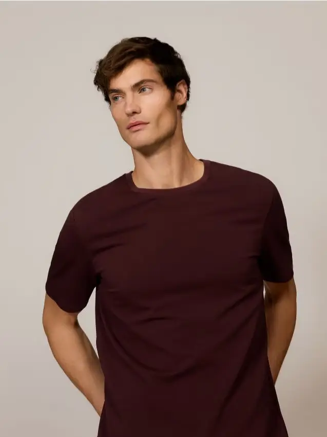T-shirt regular fit semplice - marrone