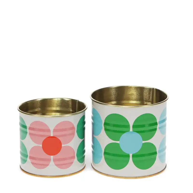 Scatola di immagazzinaggio Rex London Daisy Mini (x2)