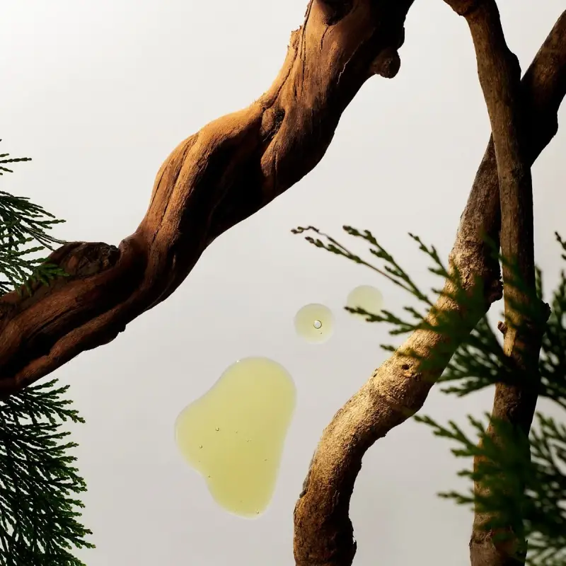 Car Perfume Homme Car Air Freshener - Refill - Profumo auto miniatura 4