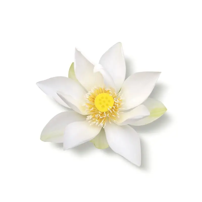 Home Collection The Ritual of Karma Refill Fragrance Sticks - Diffusori di profumo miniatura 2