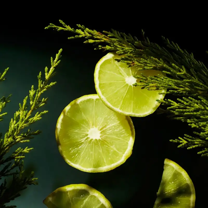 Homme Trial Set Homme 2024 - Cofanetti regalo per lui