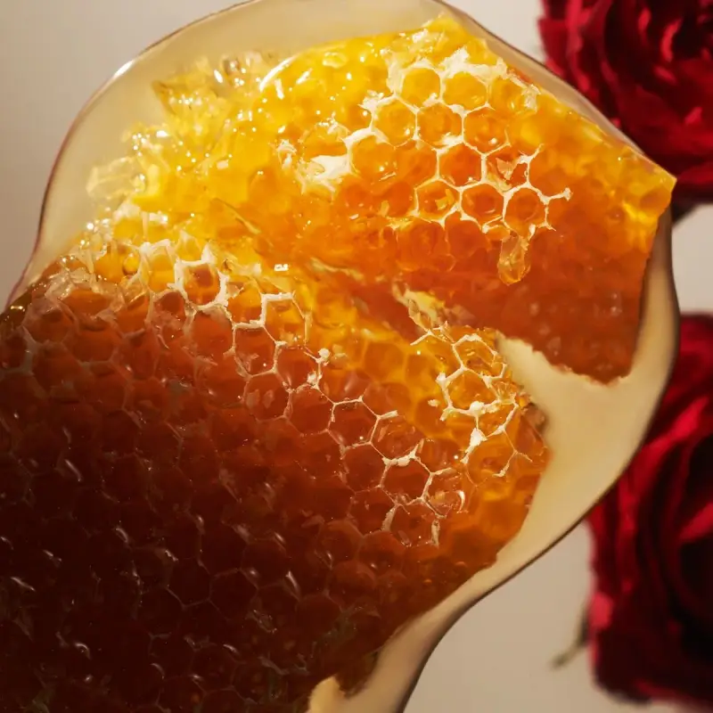 The Ritual of Ayurveda Trial Set Ayurveda 2024 - Cofanetto corpo, Cofanetto viso e corpo miniatura 4