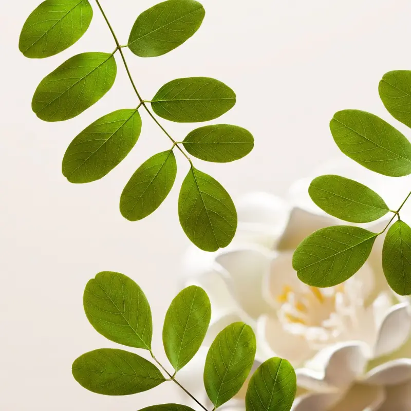 The Ritual of Namaste Detergente Schiumoso Delicato - Mousse detergente viso miniatura 2