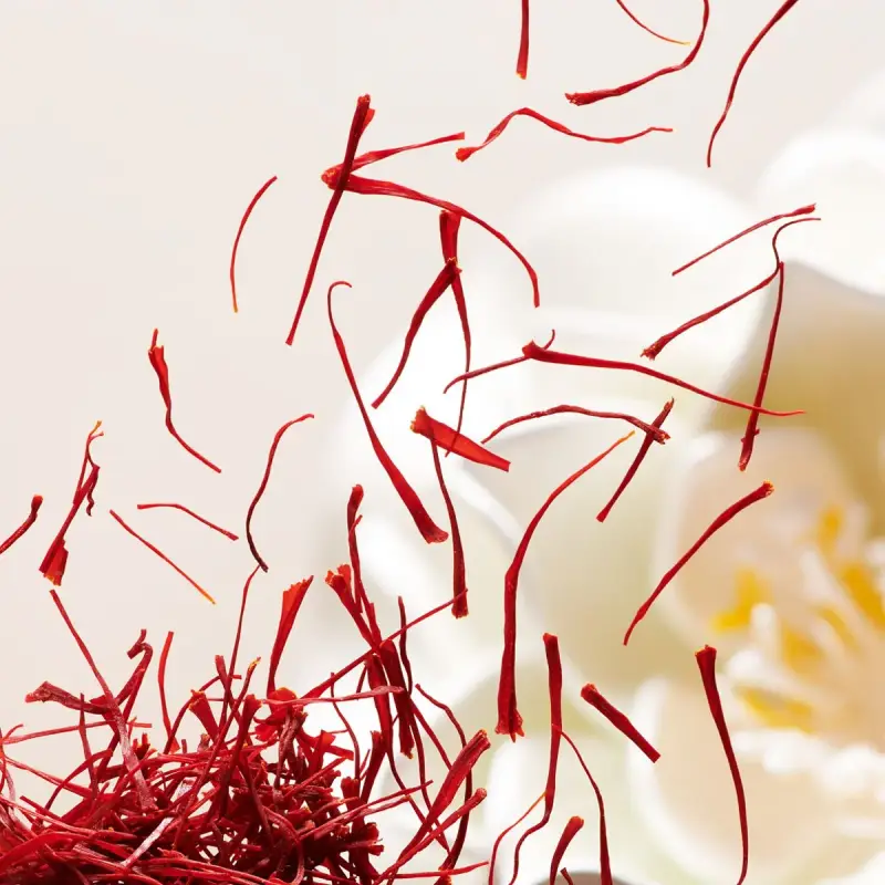 The Ritual of Namaste Siero Occhi Antietà - Contorno occhi miniatura 4