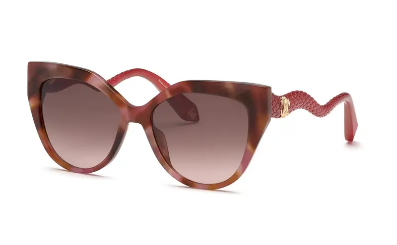 Roberto Cavalli Occhiali da sole Donna Testa di moro 839725