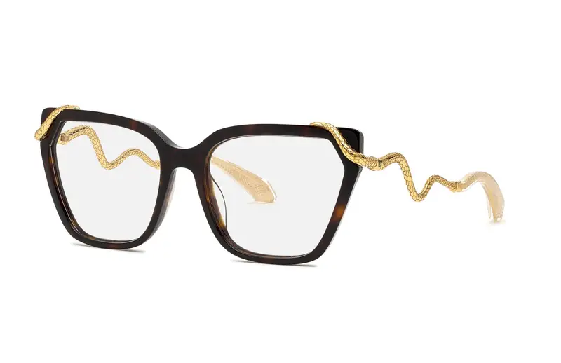 Roberto Cavalli  VRC020M  722 Montature da vista