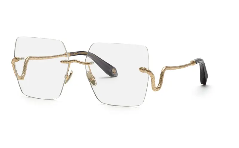 Roberto Cavalli  VRC077  300 Montature da vista