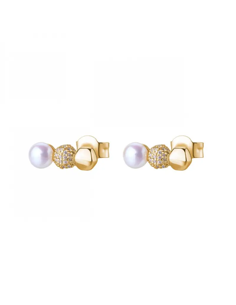 Rosato Orecchini Argento 2396579