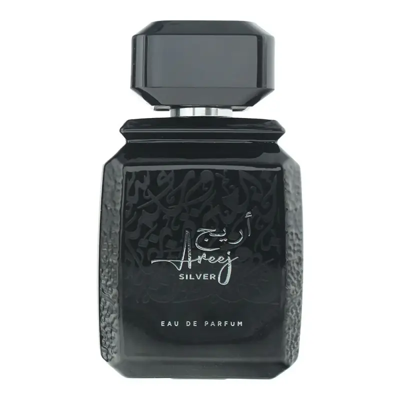 Aneej Silver Eau de Parfum unisex 100 ml