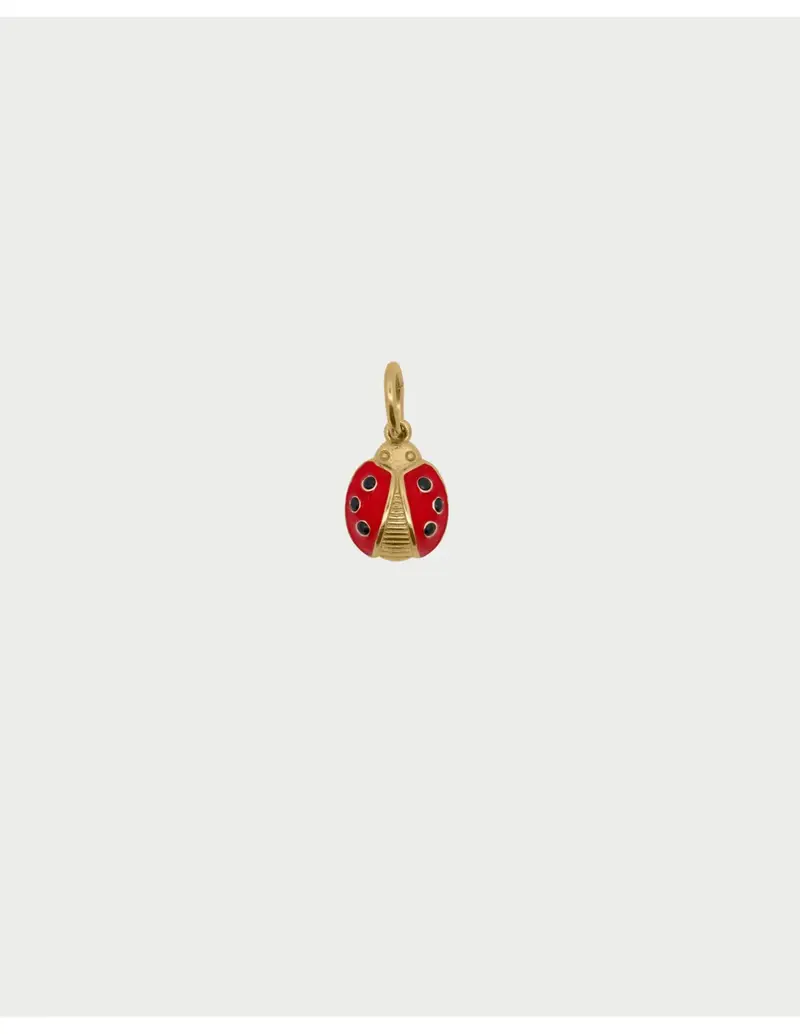 Charm Coccinella RUE DES MILLE Charmbar in argento 925 dorato CB-CN 60