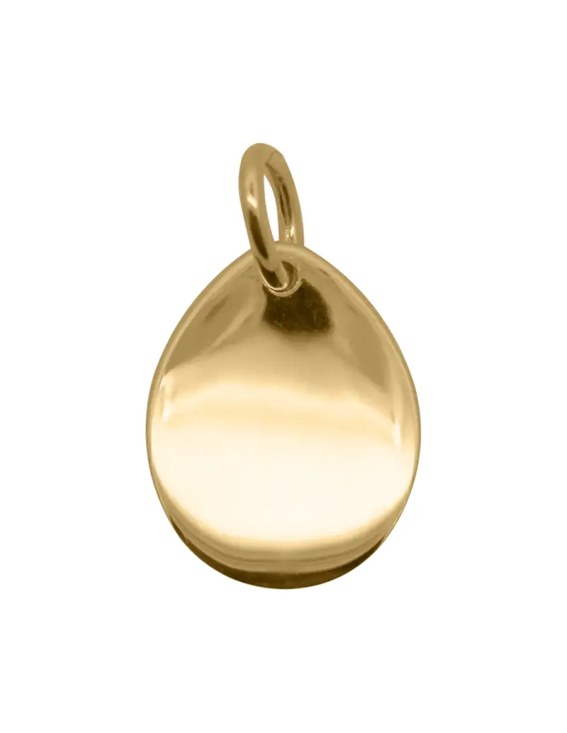 Charm Medaglia Drop RUE DES MILLE Charmbar in argento 925 dorato CB-CN 35