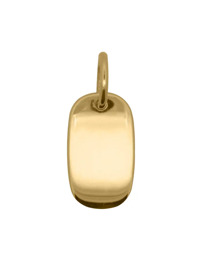 Charm Medaglia Edge RUE DES MILLE Charmbar in argento 925 dorato CB-CN 33