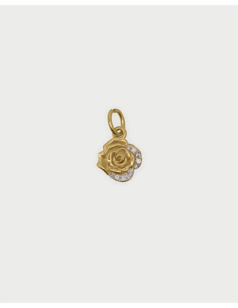 Charm Rosa RUE DES MILLE Charmbar in argento 925 dorato e cristalli CB-CN 20