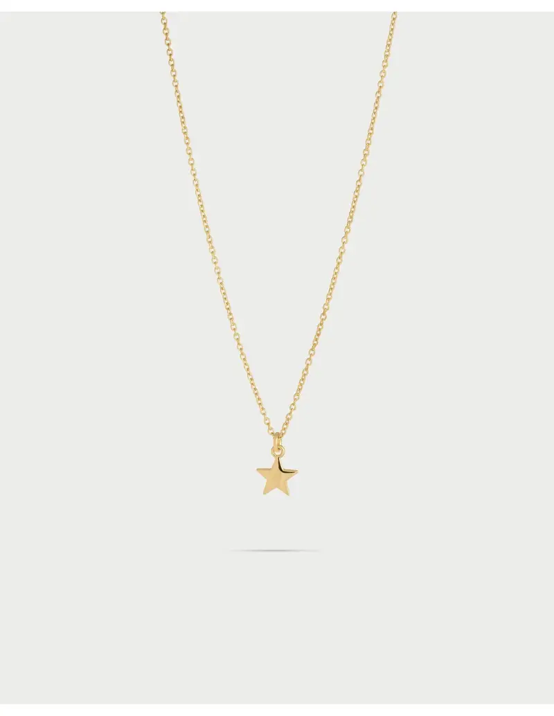 Girocollo Ciondolo Bombato Stella RUE DES MILLE I Sogni Son Desideri in argento 925 dorato GR-002 STE AU