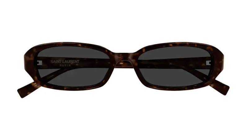 Unisex SAINT LAURENT SL 872 ERIN 003 Occhiali da sole Acetato Havana Grigio Rotonda miniatura 2