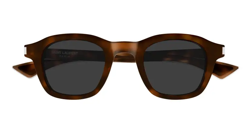 Unisex SAINT LAURENT SL 880 003 Occhiali da sole Acetato Havana Grigio Rotonda miniatura 2
