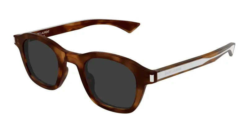 Unisex SAINT LAURENT SL 880 003 Occhiali da sole Acetato Havana Grigio Rotonda