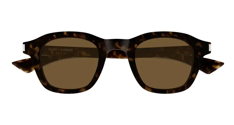 Unisex SAINT LAURENT SL 880 006 Occhiali da sole Acetato Havana Marrone Rotonda miniatura 2