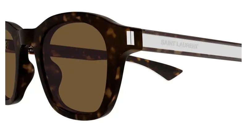 Unisex SAINT LAURENT SL 880 006 Occhiali da sole Acetato Havana Marrone Rotonda miniatura 3