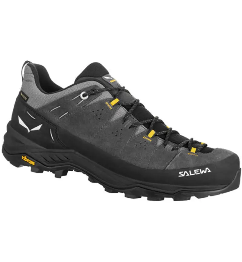 Alp Trainer 2 GTX M - scarpe trekking - uomo Dark Grey