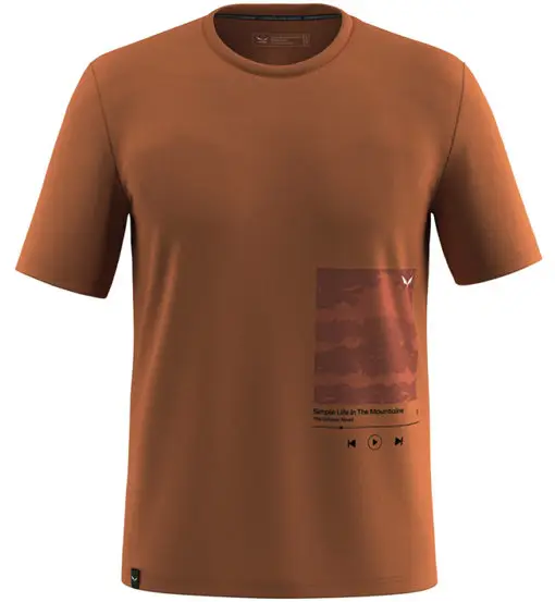 SALEWA T-shirt Uomo Marrone 4342943