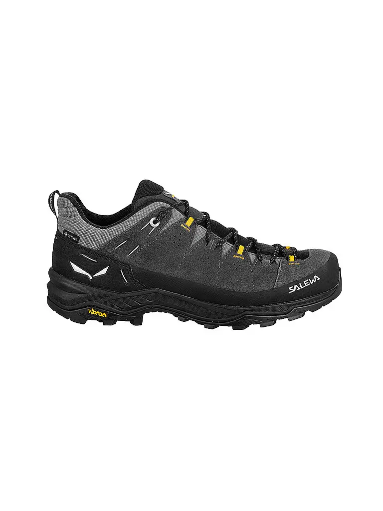 Scarpe da trekking da uomo Alp Trainer 2 GTX grigio | 42 1/2