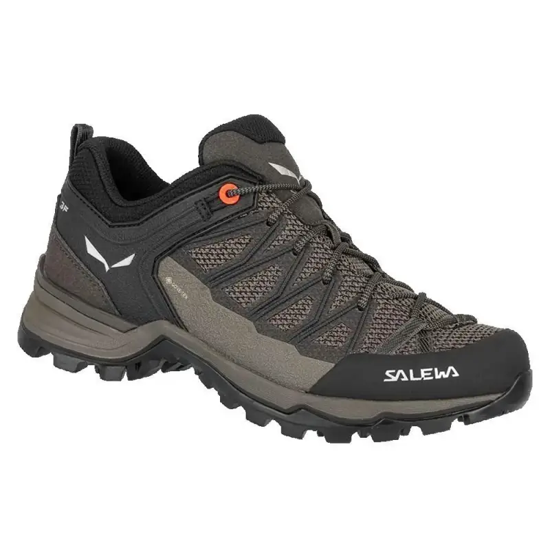Scarpe trekking da donna Salewa Mtn Lite