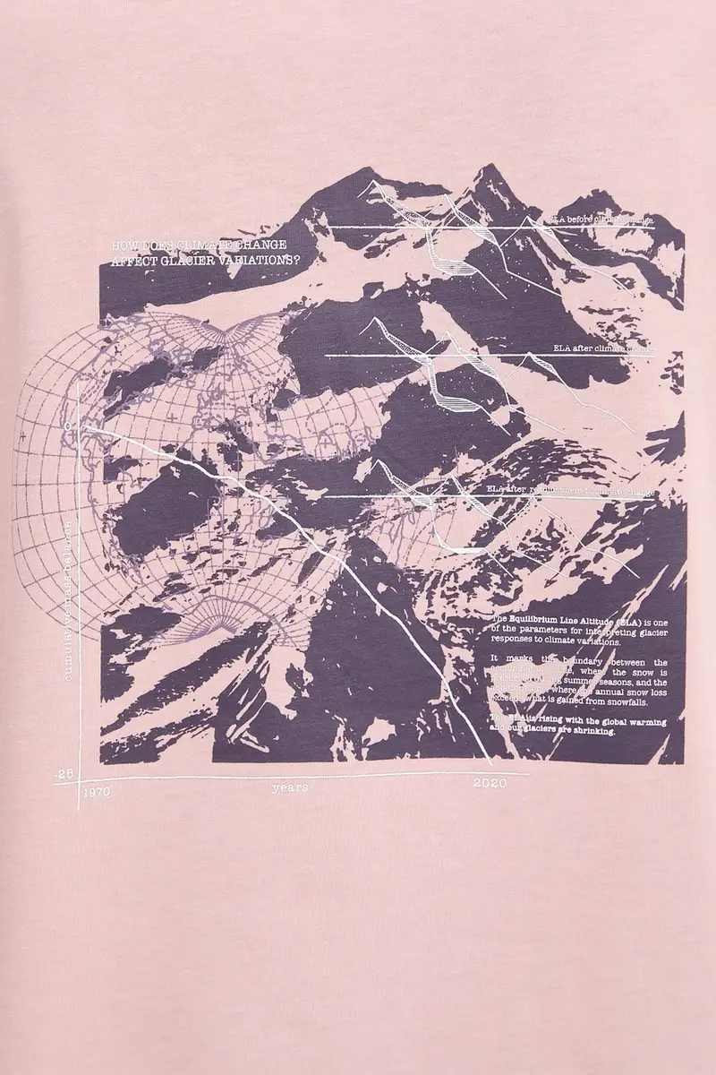 SALEWA T-shirt Donna Rosa 3663470 miniatura 4