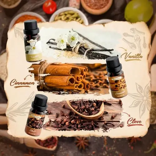 SALKING Oli Essenziali Autunno Spezia per Diffusori 6x10ml, Set di Olio Essenziale Puri per Aromaterapia e Massaggi miniatura 2