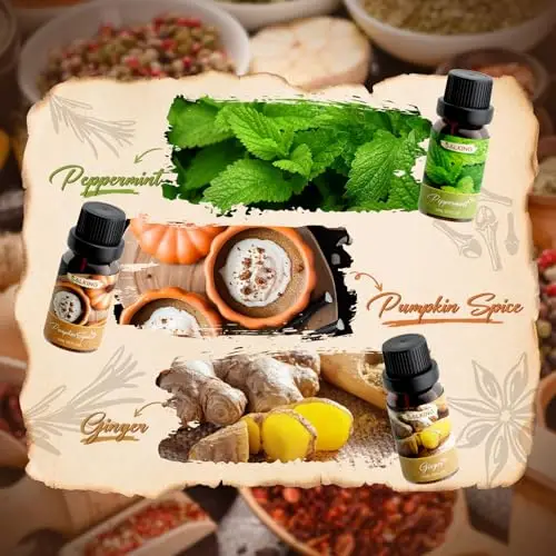 SALKING Oli Essenziali Autunno Spezia per Diffusori 6x10ml, Set di Olio Essenziale Puri per Aromaterapia e Massaggi miniatura 3