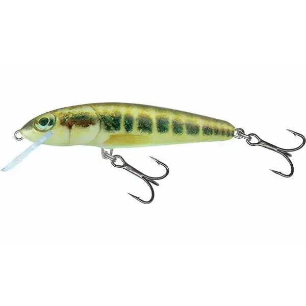 Esca galleggiante Salmo Minnow 6g