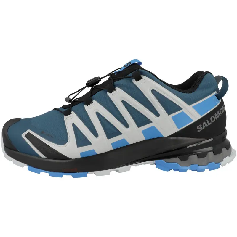 Scarpa Trekking Salomon Xa Pro 3D V8 Gtx Adulto | Salomon Blu scuro