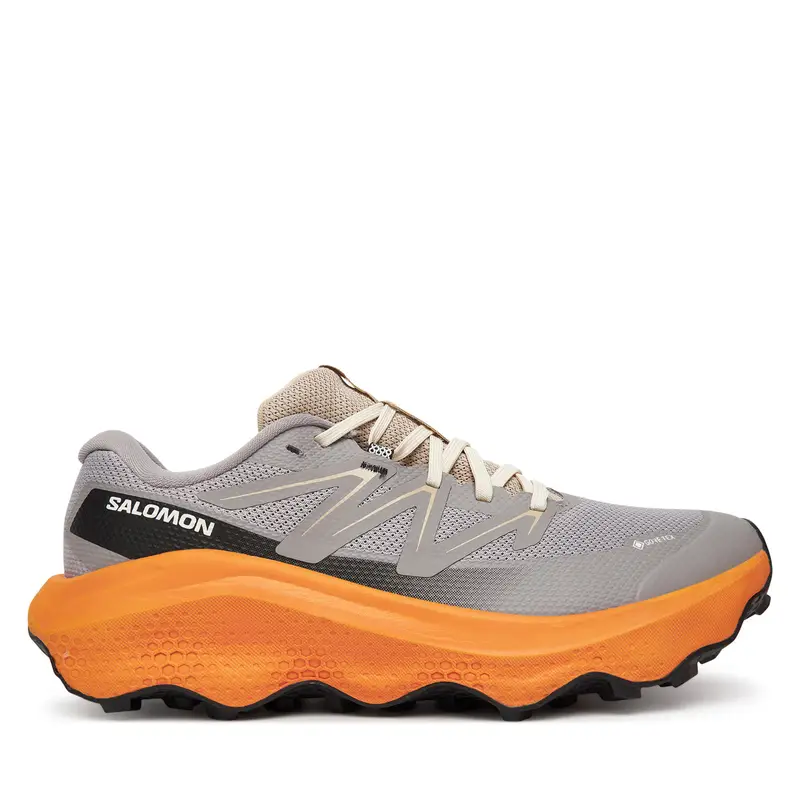 Scarpe running Salomon Ultra Flow 2 Gore-Tex L47884200 Grigio