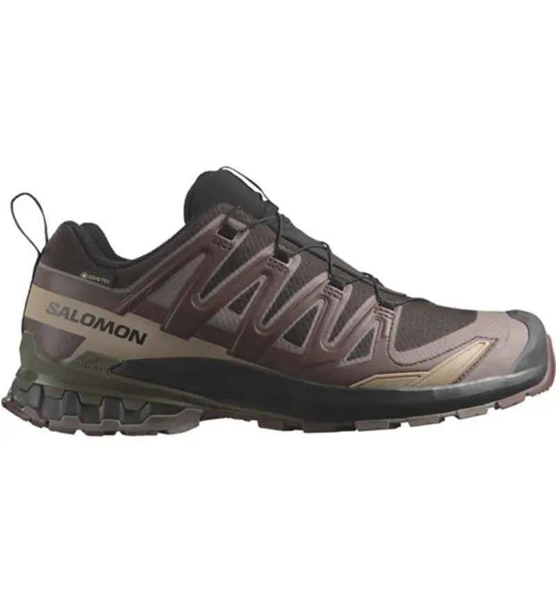 Salomon Scarpe trail running Uomo Marrone 2411103