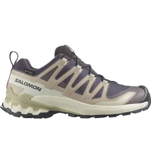 XA Pro 3D V9 GTX W - scarpe trail running - donna Grey