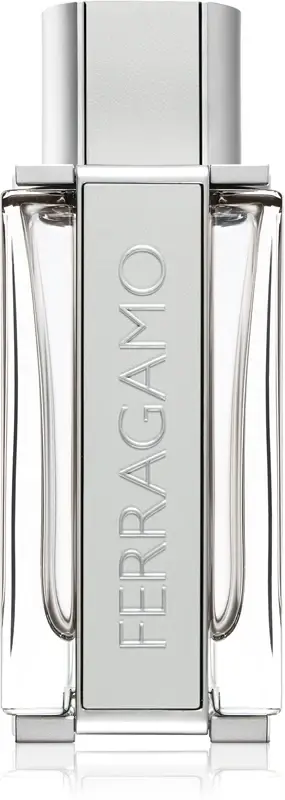 Ferragamo Bright Leather EDT M 100 ml